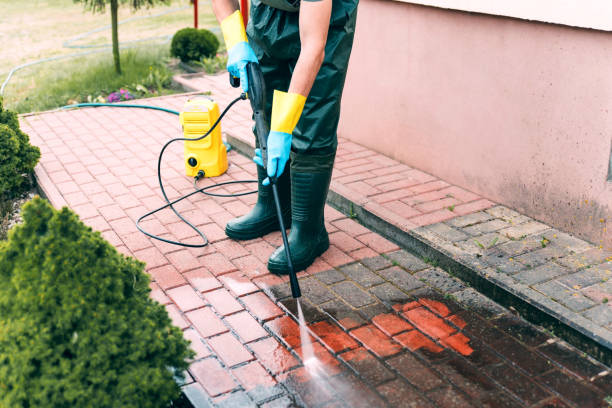 Best Restaurant Pressure Washing  in Ridgewood, IL