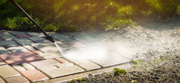 Best Building Exterior Washing  in Ridgewood, IL